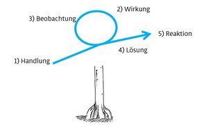Waldcoaching Wurzelansatz Schleife Waldbild single loop learning