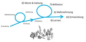 Waldcoaching Jungwald Totholz Schleifen Waldbild double-loop-learning