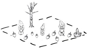 Waldcoaching Eichhörnchen Eicheln Baum Waldbild Umgang mit Widerstand