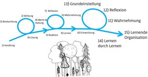 Waldcoaching Mischwald Schlaufen Waldbild deutero-learning