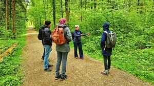 Waldcoaching Teilnehmende Frühling Wald