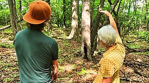 waldcoaching-palmerpark-burned-tree