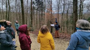 Waldcoaching Teilnehmende Buchenausschlag